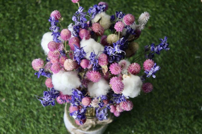 Pink_ Beauty _big_ Dried _flowers _bunch