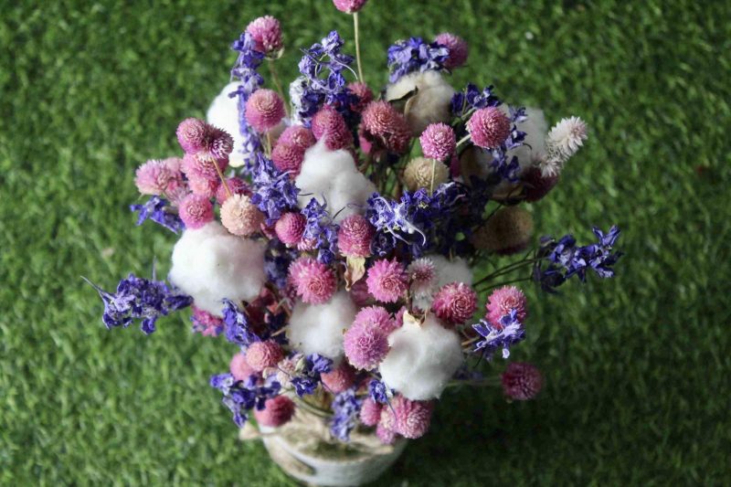 Pink_ Beauty _big_ Dried _flowers _bunch