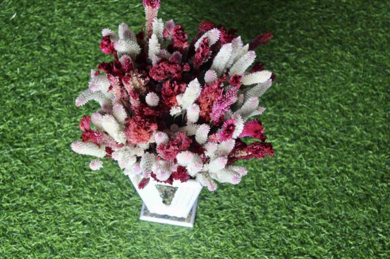 White_Maroon_big_Dried_flowers_bunch