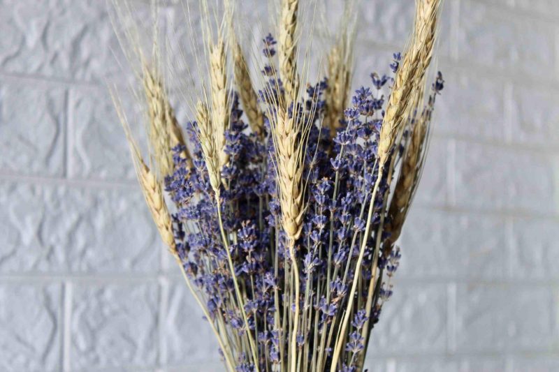 Lavender_ Wheat _Bunch