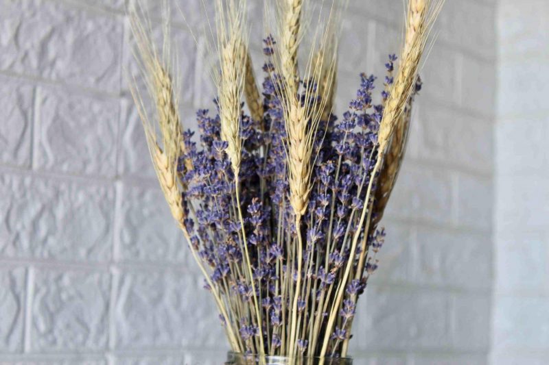 Lavender_ Wheat _Bunch