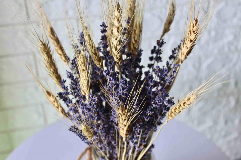 Lavender_ Wheat _Bunch