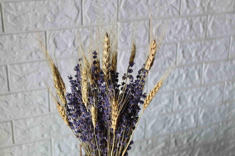 Lavender_ Wheat _Bunch