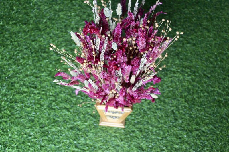 Magenta _Wheat _big _flowers _bunch