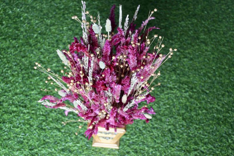 Magenta _Wheat _big _flowers _bunch