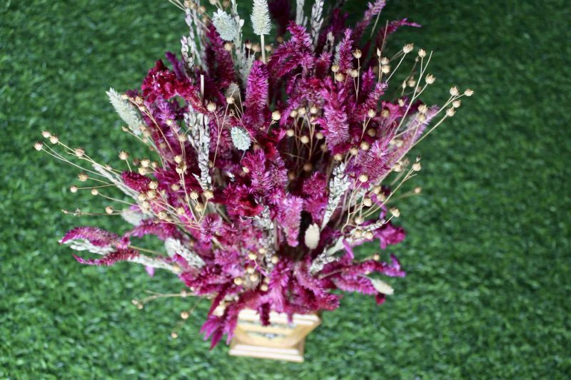 Magenta _Wheat _big _flowers _bunch