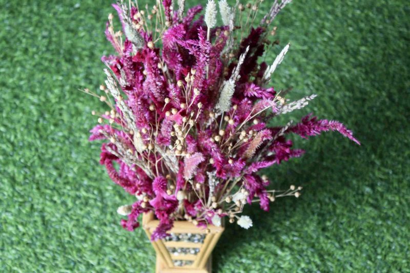 Magenta _Wheat _big _flowers _bunch