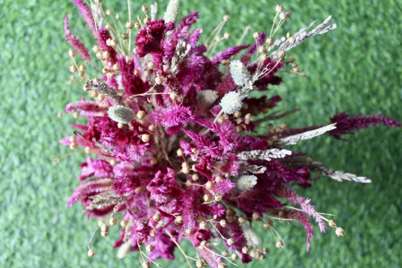 Magenta _Wheat _big _flowers _bunch