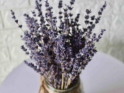 dried-lavender-flowers-bouquet