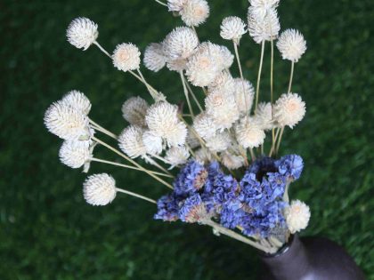 Dried_White_Blue_Flowers_Bunch