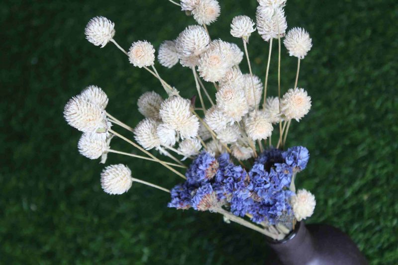 Dried_White_Blue_Flowers_Bunch