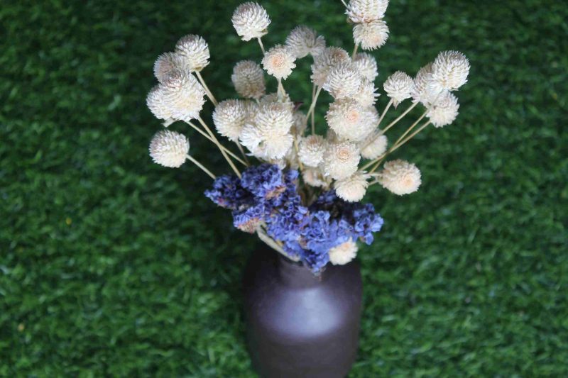 Dried_White_Blue_Flowers_Bunch