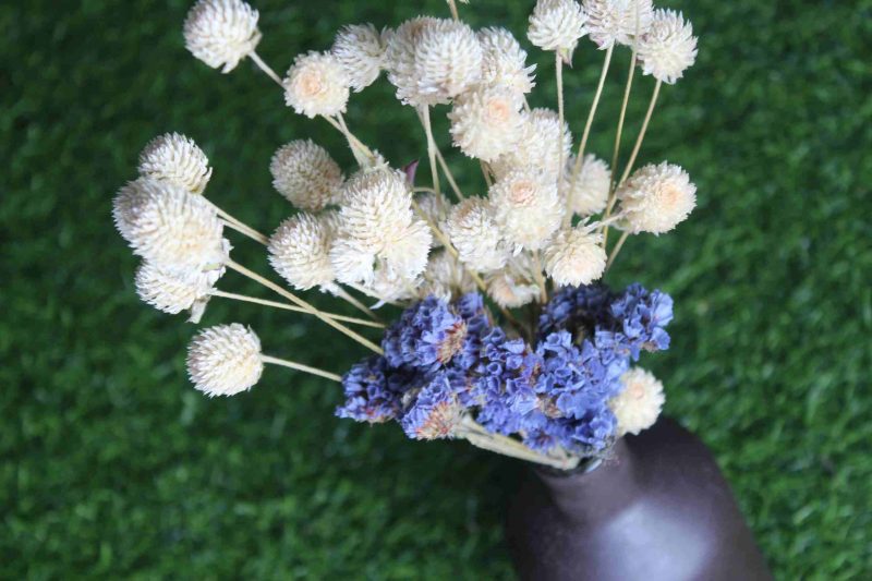 Dried_White_Blue_Flowers_Bunch