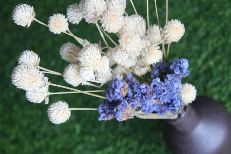 Dried_White_Blue_Flowers_Bunch