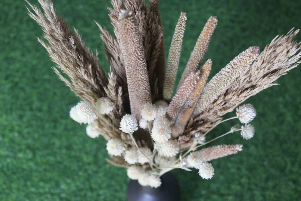 Dried_Pampas_White_Flowers_Bouquet