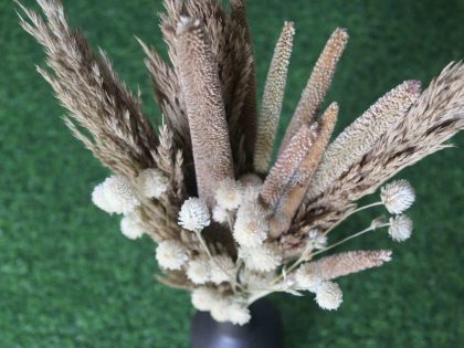 Dried_Pampas_White_Flowers_Bouquet