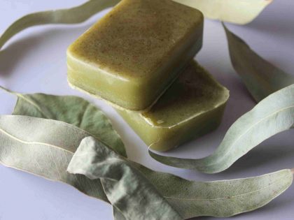 handmade-shea-butter-eucalyptus-organic-soap