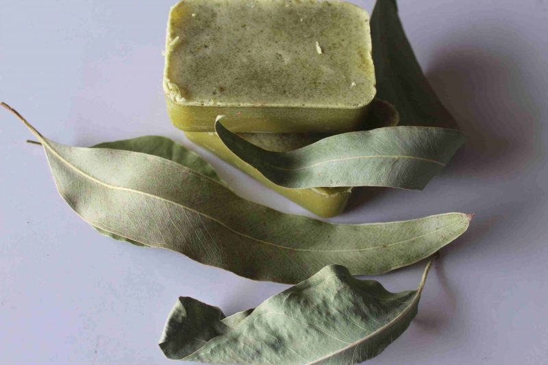 handmade-shea-butter-eucalyptus-organic-soap