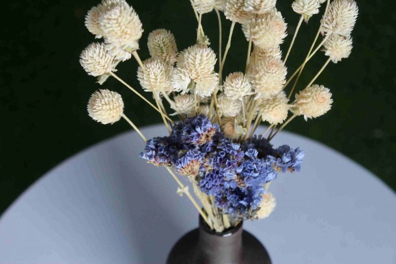 Dried_White_Blue_Flowers_Bunch