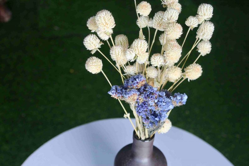 Dried_White_Blue_Flowers_Bunch