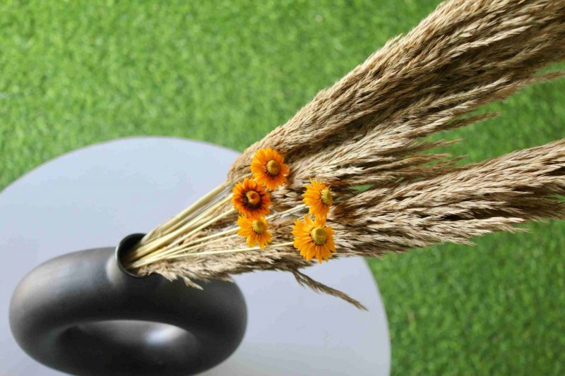 Dried_Yellow_Flowers_Pampas_Bouquet