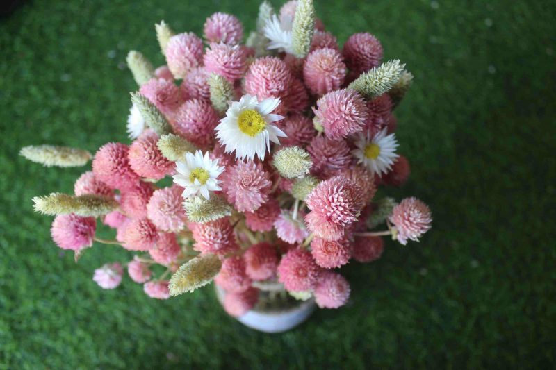 Baby_Pink_Dried_Flowers_Bouquet_1