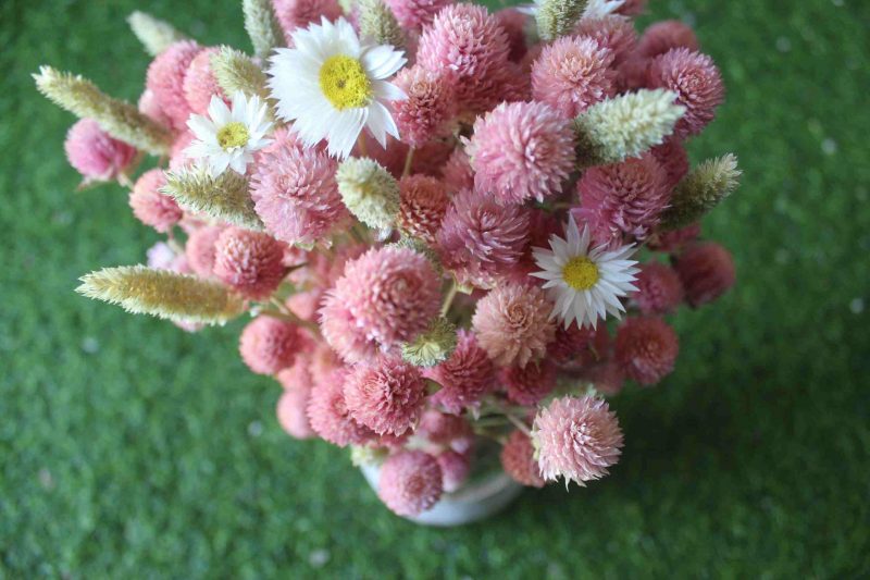 Baby_Pink_Dried_Flowers_Bouquet_2