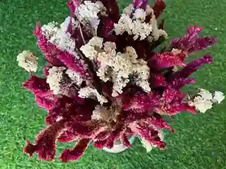 maroon-white-dried-flowers-bouquet