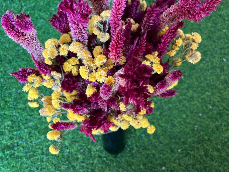 Yellow_Burgundy_Dried_Flowers_Bouquet_1