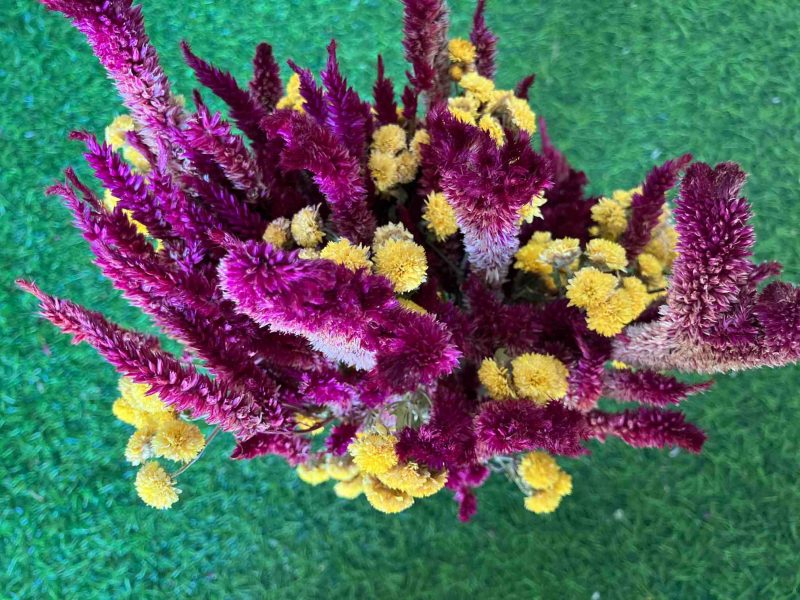 Yellow_Burgundy_Dried_Flowers_Bouquet