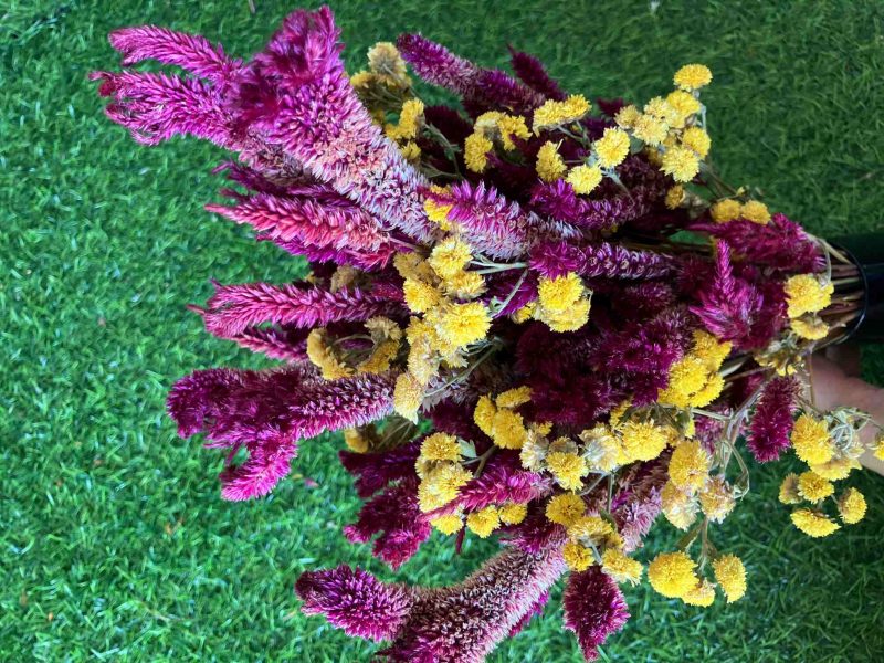 Yellow_Burgundy_Dried_Flowers_Bouquet