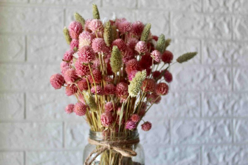 Baby_Pink_Dried_Flowers_Bouquet_3