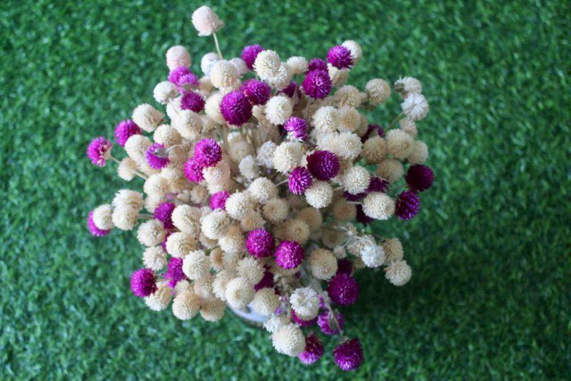 white-purple-dried-flowers-bouquet