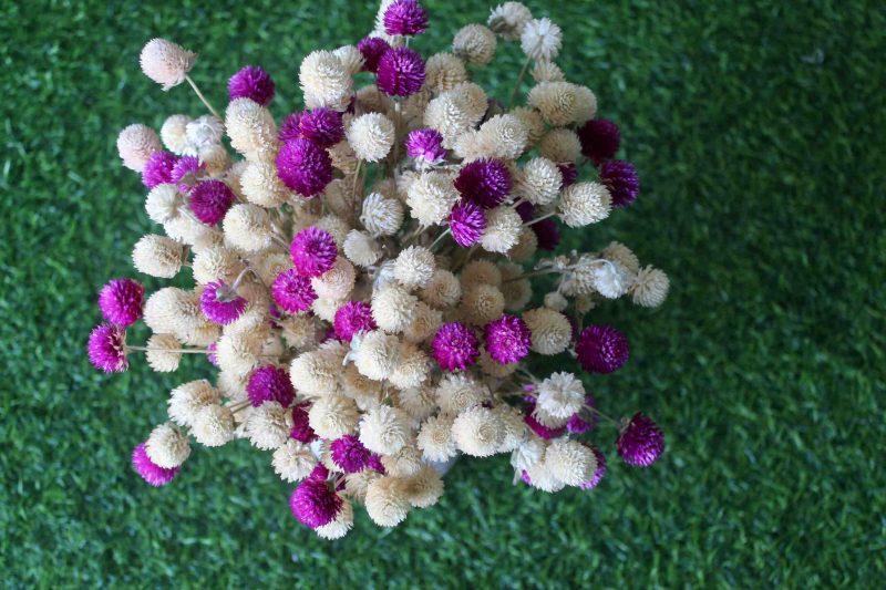 white-purple-dried-flowers-bouquet