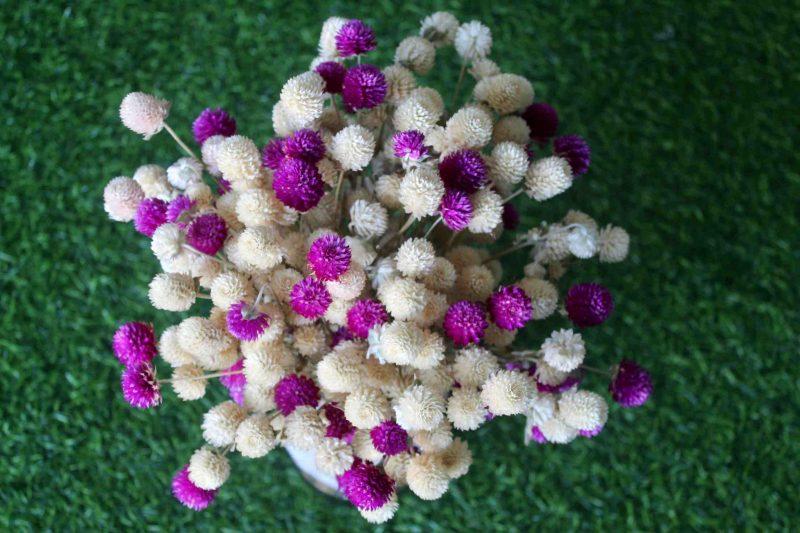 white-purple-dried-flowers-bouquet