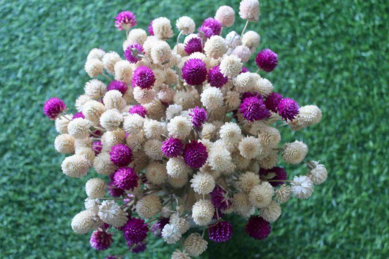 white-purple-dried-flowers-bouquet