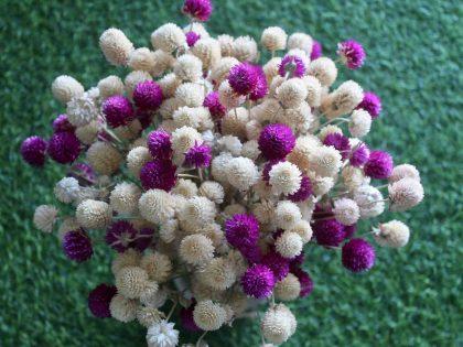 white-purple-dried-flowers-bouquet