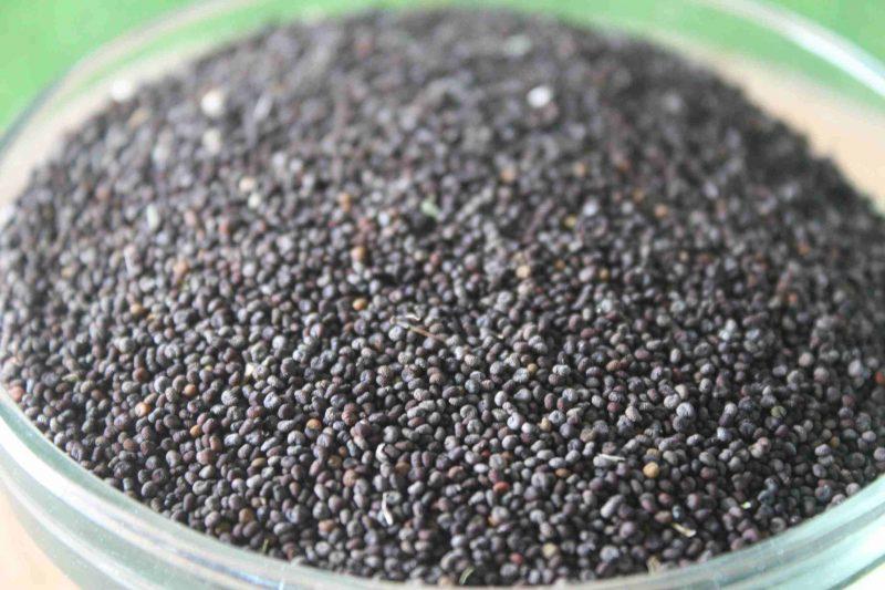 organic-jakhiya-seeds