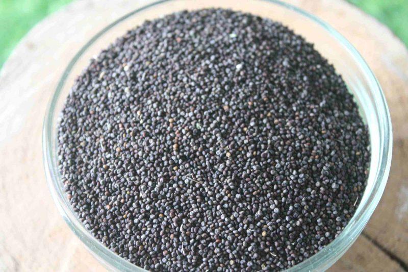 organic-jakhiya-seeds